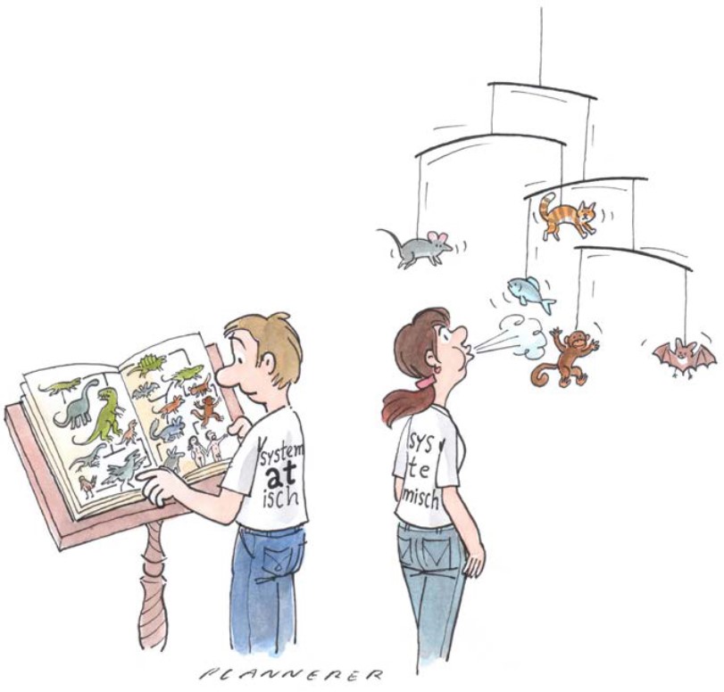 Systemisch oder Systematisch